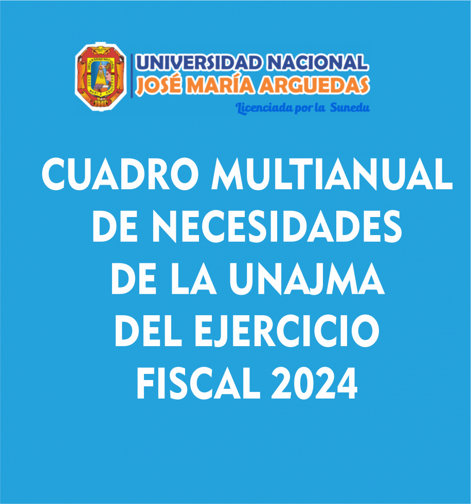 cuadro de necesidades 2024