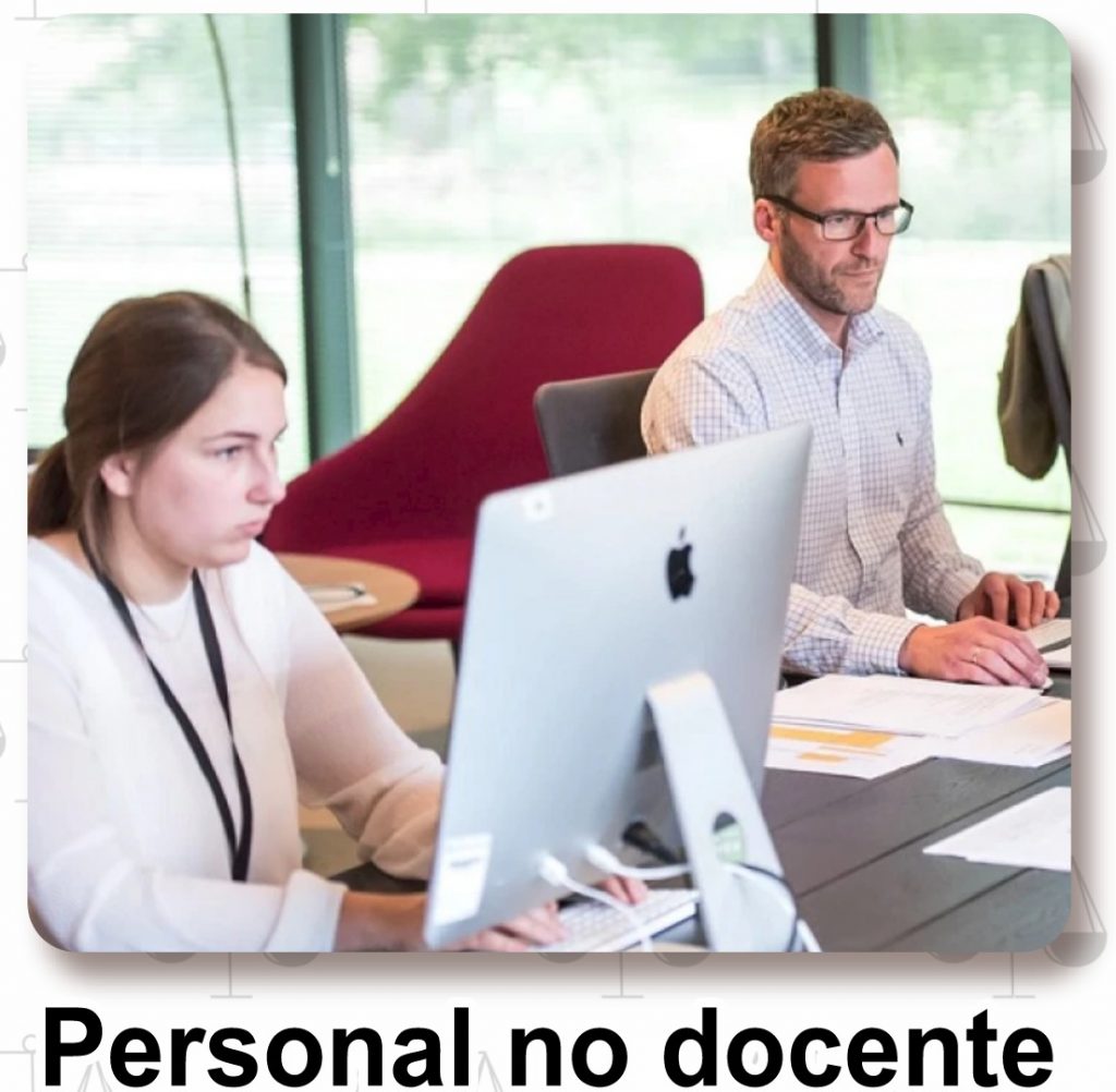 personal-no-docente